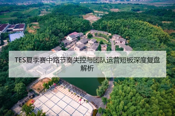 TES夏季赛中路节奏失控与团队运营短板深度复盘解析